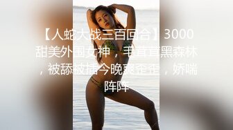 国产麻豆AV MD MD0063 女優面試員 袁庭妮