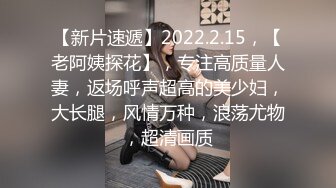 无套后入骚b老婆