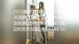 OnlyFan 玩具被主人控制了(4k)