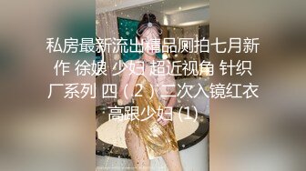 【重磅核弹】极品乱伦姨甥恋 喜欢我的小姨 SVIP福利合集