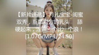 国产AV 葫芦影业 HUL019 旧上海四女子往事3