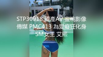 SWAG Minicat的手工排毒工作室 Minicat