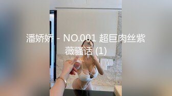 潘娇娇 - NO.001 超巨肉丝紫薇骚话 (1)