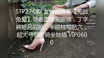 麻豆传媒 tz-108 痴女与植物人丈夫-绫波丽