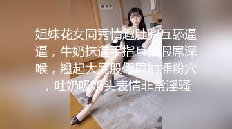 小母狗第一次被塞着肛塞后入