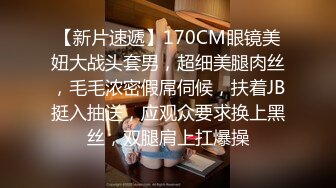 全遍薄到不行的极限马赛克—小泉彩