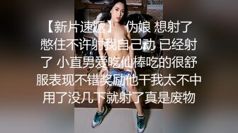 小母狗，不ppp就难受