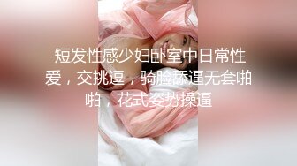 她的刺青从胸前露出来，在一间廉价公寓里与隔壁单亲妈妈发生了三天的性关系。柊优希