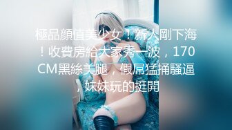 極品顔值美少女！新人剛下海！收費房給大家秀一波，170CM黑絲美腿，假屌猛捅騷逼，妹妹玩的挺開