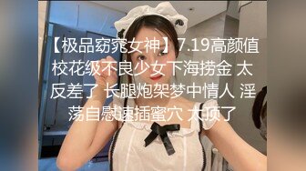 大象傳媒 DA43 背德人妻超放蕩