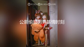 【自制字幕系列】之【壹屌寻花】（第二场）南航空姐，高跟黑丝女神，此等佳人难得一遇