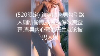 (520限定) 纹身肌肉男勾引路人厕所偷情,按着头深喉爽歪歪,直男内心骚浪天生就该被男人玩