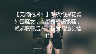 【无情的屌丶】深夜约操花臂外围骚女，肉感身材超级骚，翘起肥臀后入，被发现镜头挡住