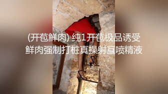 洛阳后入骚货屁屁2