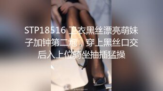 TWTP 游乐场女厕全景偷拍几个撅着屁股嘘嘘的高颜值美女 (2)