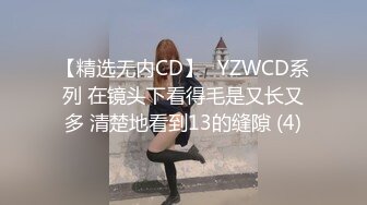 正面干dg少妇