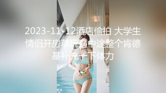 日常操老婆11