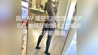 暑假强档❤️爱豆传媒IDG5469留宿同学家抵挡不住诱惑爆操他的寂寞小妈・梦柔