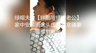 厨娘小姐姐，JK白丝高跟，第三视角，连续抽插打桩机的撞击声，让母狗高潮全程，对着镜头操，完美露脸3