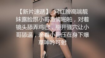 STP25386 两个美少妇姐妹花双飞，黑丝网袜，女上位啪啪，对白淫荡，一字马花样打桩 VIP2209