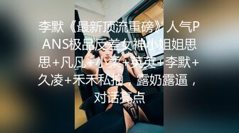 李默《最新顶流重磅》人气PANS极品反差女神小姐姐思思+凡凡+小柔+英英+李默+久凌+禾禾私拍，露奶露逼，对话亮点