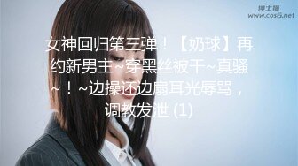 大奶大翘臀秀人网女神御姐【王婉悠】私拍视图流出，完美漏鲍肛塞入体性感菊花无毛一线天