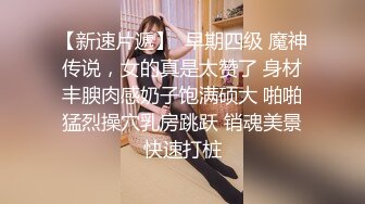 调教肉欲人妻小母狗