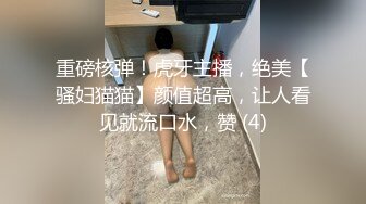 重磅核弹！虎牙主播，绝美【骚妇猫猫】颜值超高，让人看见就流口水，赞 (4)