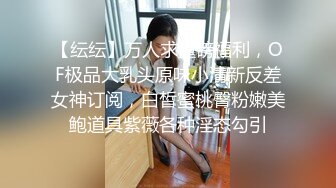 紮著兩個辮子童顔巨乳妹子自慰啪啪肛塞尾巴項圈絲襪跳蛋震動抽插[