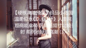 【硬核高能预警】极品小岛国温柔似水CD《红叶》人美屌粗高能solo 玩具超频寸止喷射 前例地狱腺高潮 (3)