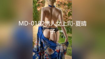 MD-0182诱人女上司-夏晴子