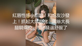 MSD-061羞涩处女遭侵入-许依然