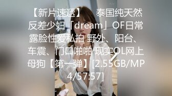 3/11最新 户外少妇勾引路人怕什么呀帅哥有人更刺激VIP1196