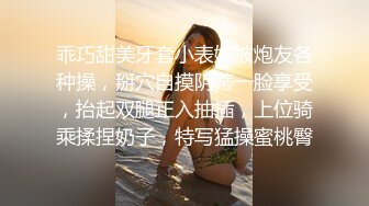 ⚫️究极反差骚婊！推特极品女神气质御姐【粉红色海豚】最新订阅，有钱人的性玩物无套啪啪捣白浆