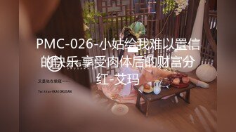 PMC-026-小姑给我难以置信的快乐.享受肉体后的财富分红-艾玛