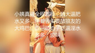 【女神爱肉棒性爱肉_便器】双马尾萝莉『芽芽不乖』最新性爱私拍 和粉丝哥哥户外车_震 无套内射两次 高清720P原版