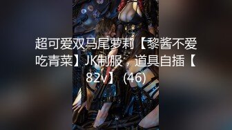 极品福利姬美少女  发条少女 -迷之呆梨  压缩版视频福利合集 [228V] (77)