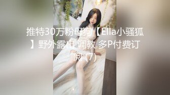 推特30万粉母狗【Ella小骚狐】野外露出 调教 多P付费订阅 (7)