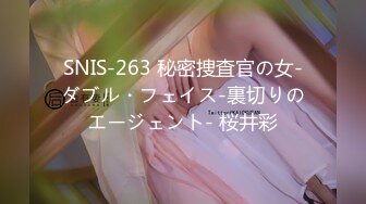 SNIS-263 秘密捜査官の女-ダブル・フェイス-裏切りのエージェント- 桜井彩