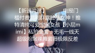 女教师NTR 当学务组长的妻子和同事一起去修学旅行当监督… 东凛