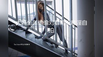 后入极品大肥臀加女上位