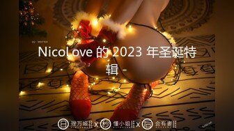 NicoLove 的 2023 年圣诞特辑 -