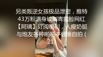 欧美白嫩丰满白虎小美女Sellapink合集【38V】 (9)