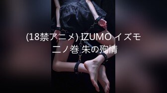 (18禁アニメ) IZUMO イズモ 二ノ巻 朱の殉情