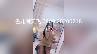 雀儿满天飞 0809 20200218 (3)