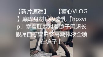 4/13最新 新作私密流出杨思敏版美乳熟女偷吃日记VIP1196